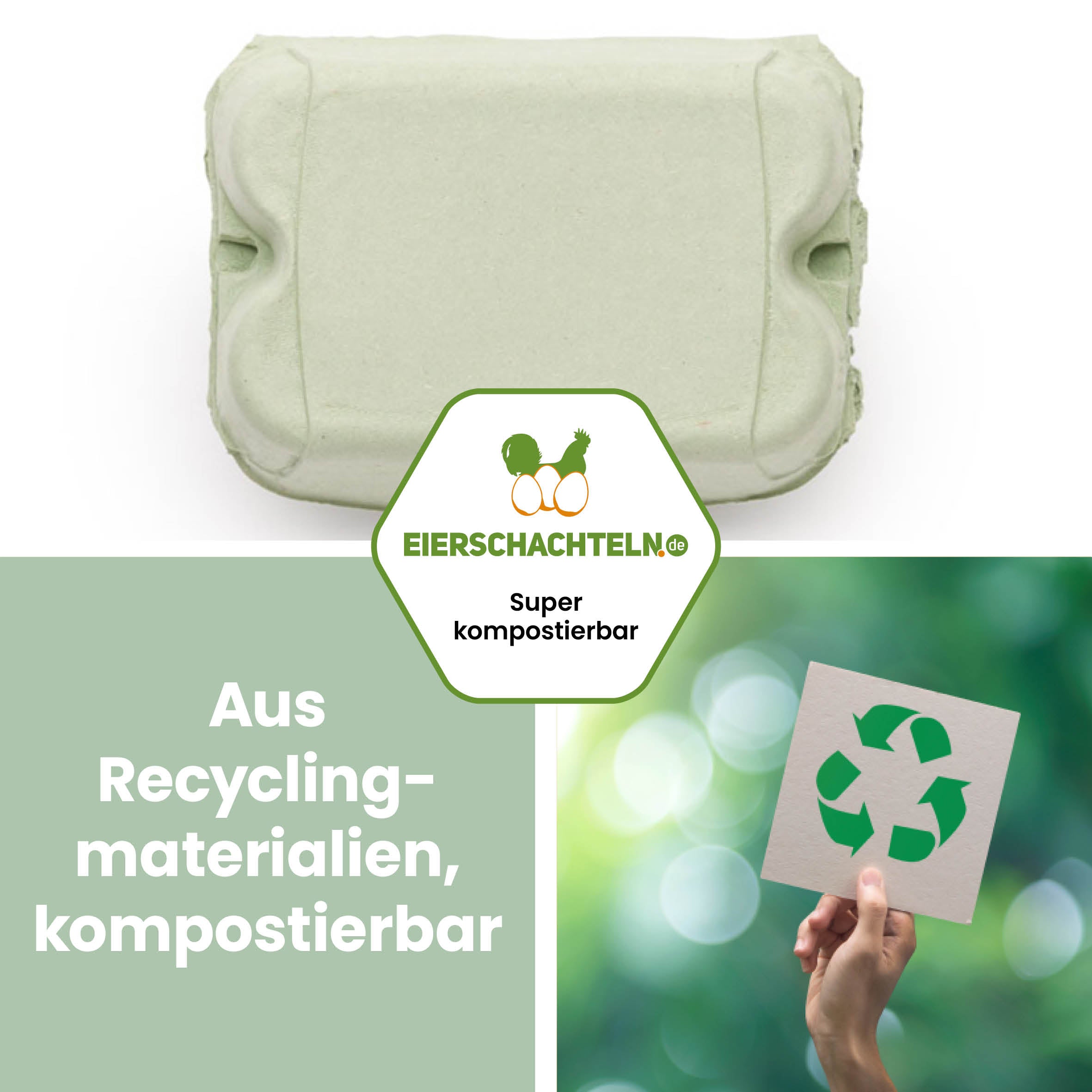 6er ComPac grün aus Recyclingpappe kompostierbar und nachhaltig von eierschachteln.de