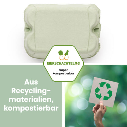 6er ComPac grün aus Recyclingpappe kompostierbar und nachhaltig von eierschachteln.de