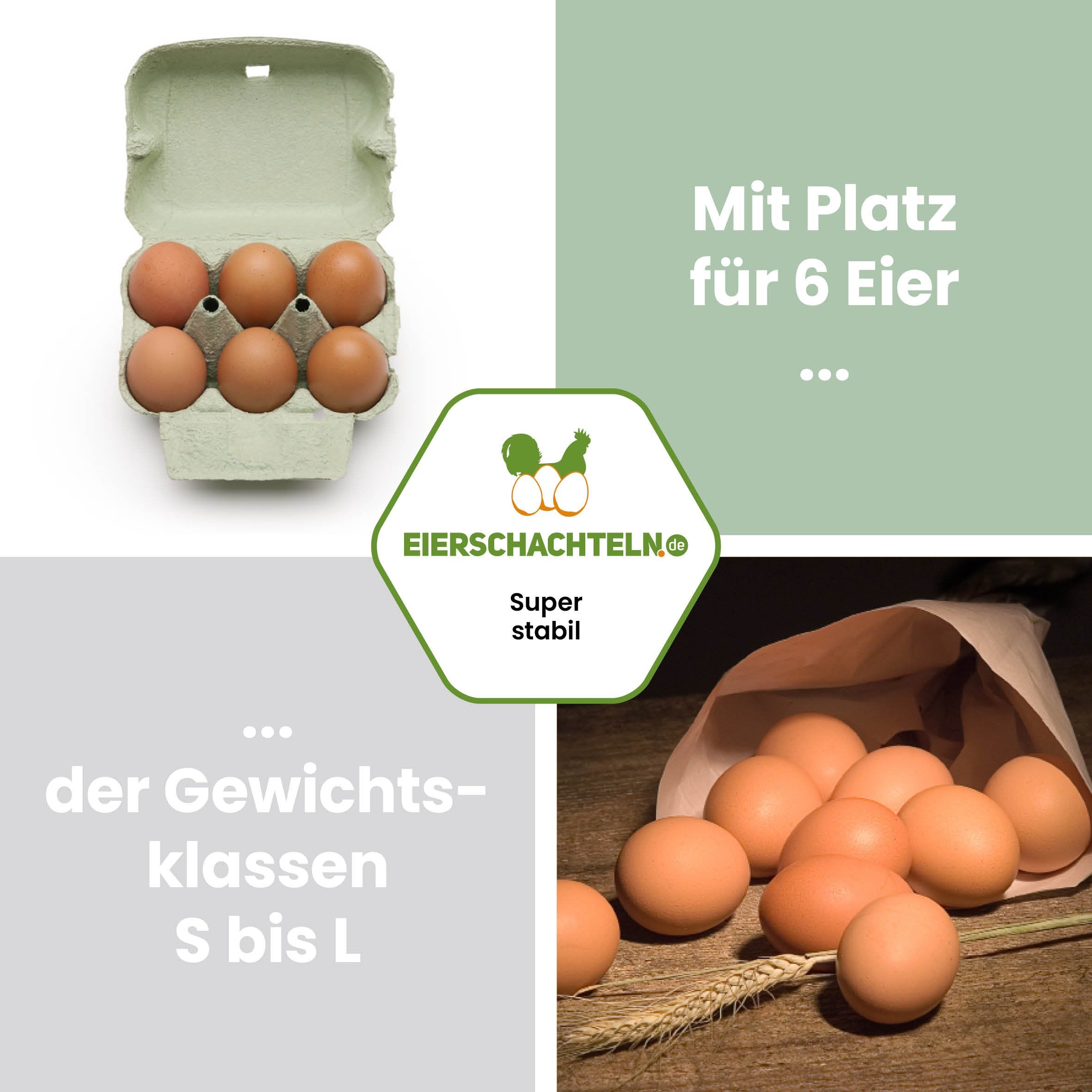 ComPac 6er ohne Etikett, grün "Mit Platz für 6 Eier der Gewichtsklassen S bis L"