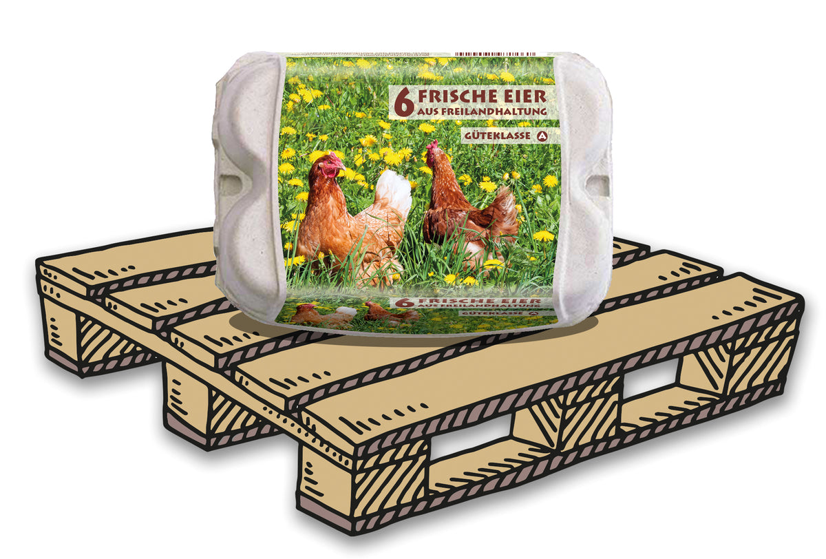 ComPac 6er Eierschachteln mit Freiland-Etikett, auf Palette