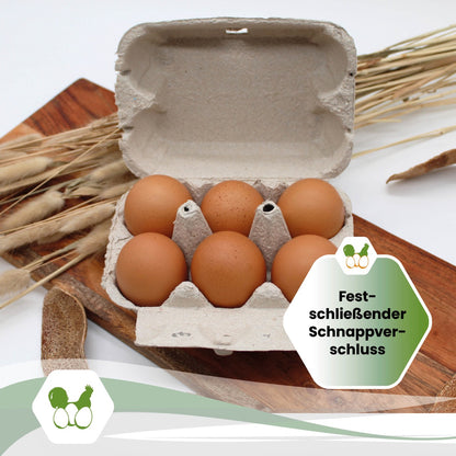 6er Eierschachtel EuroPack "Fest schließender Schnappverschluss"