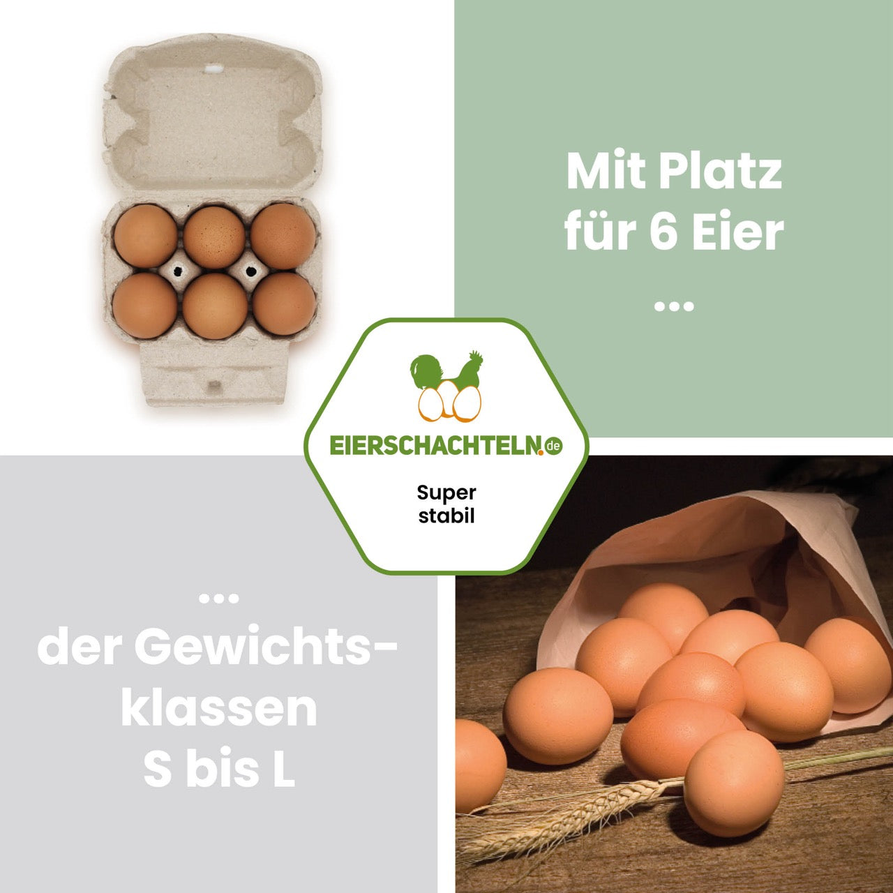6er Eierschachtel EuroPack "Mit Platz für 6 Eier der Gewichtsklassen S bis L"