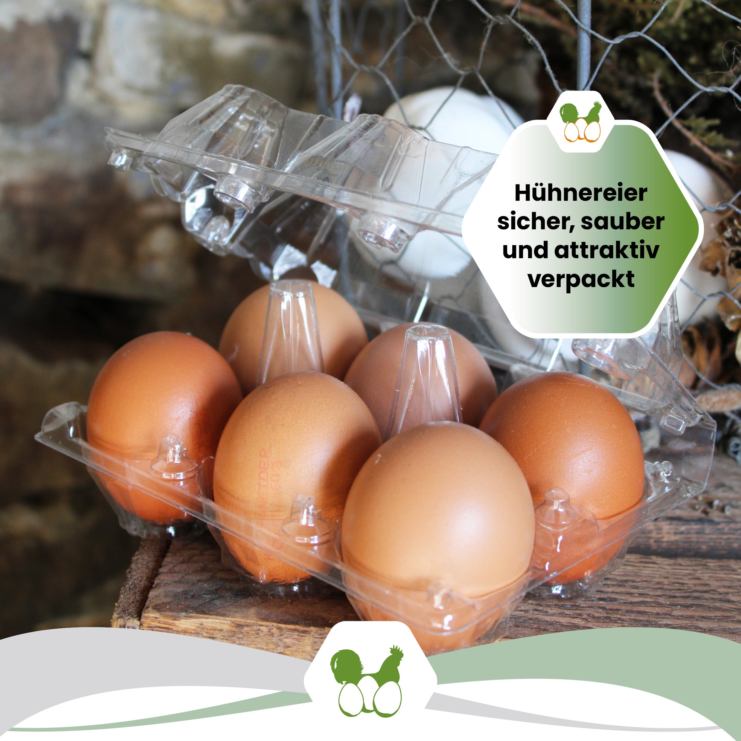 6er PET Eierverpackung "Hühnereiersicher, sauber und attraktiv verpackt" 