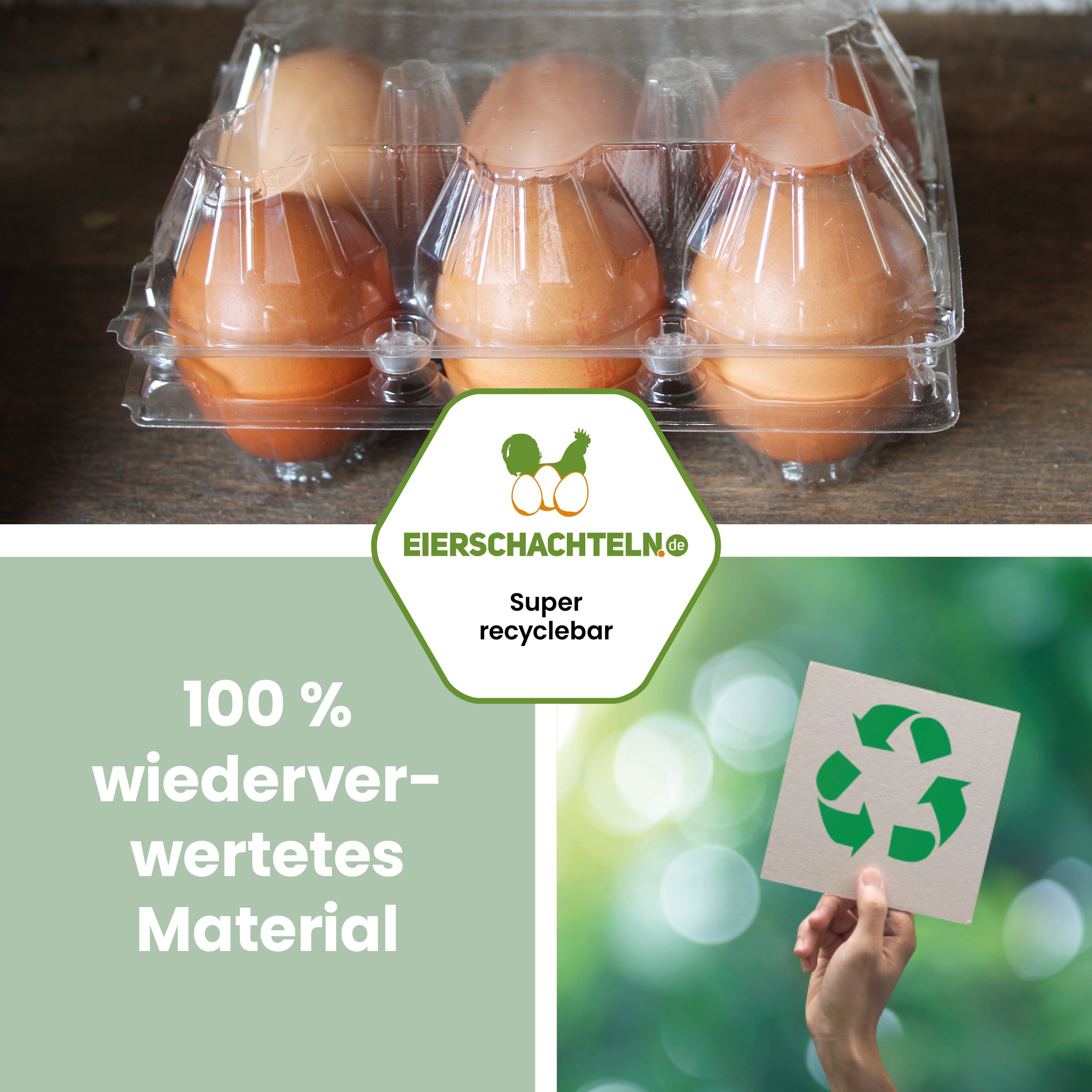 6er PET Eierverpackung "100% wiederverwertetes Material" 