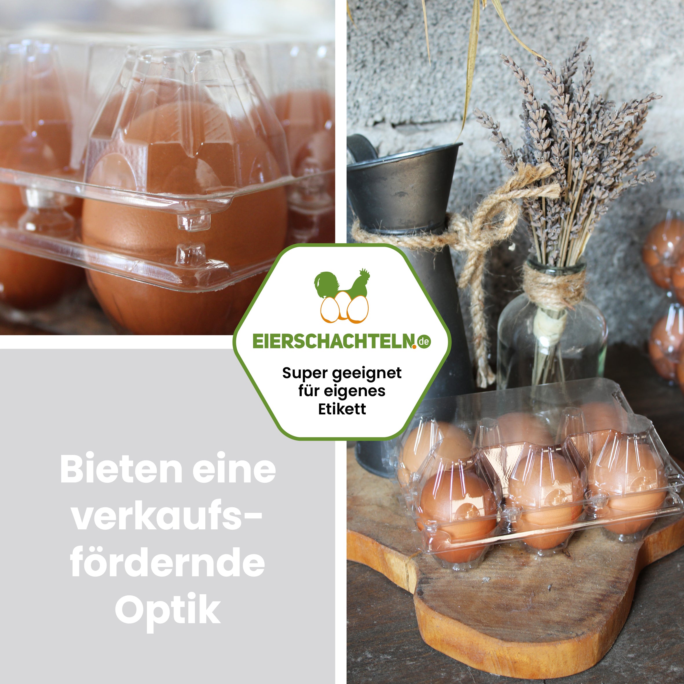 6er PET Eierverpackungen "Bieten eine verkaufsfördernde Optik" 