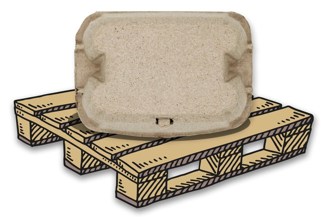 6er EuroPack Eierschachtel, Palette