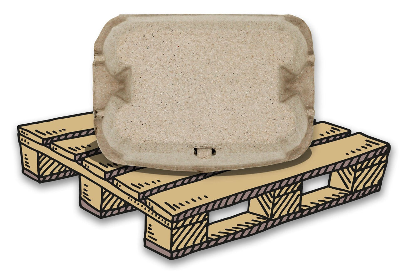 6er EuroPack Eierschachtel, Palette