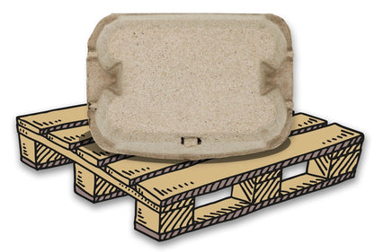 6er EuroPack Eierschachtel, Palette
