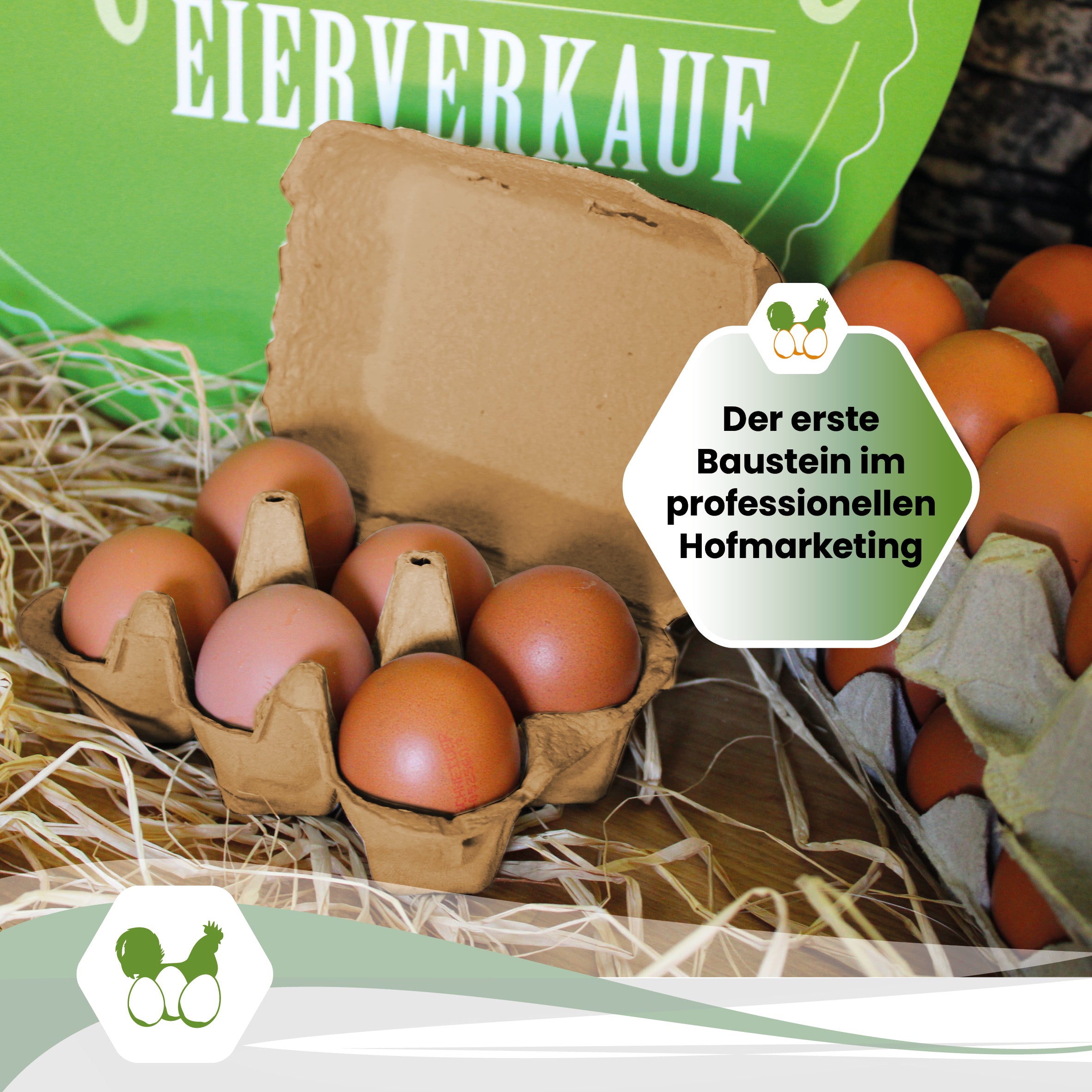 6er PlusPack mit eigenem Etikett, beige "Der erste Baustein im professionellen Hofmarketing"