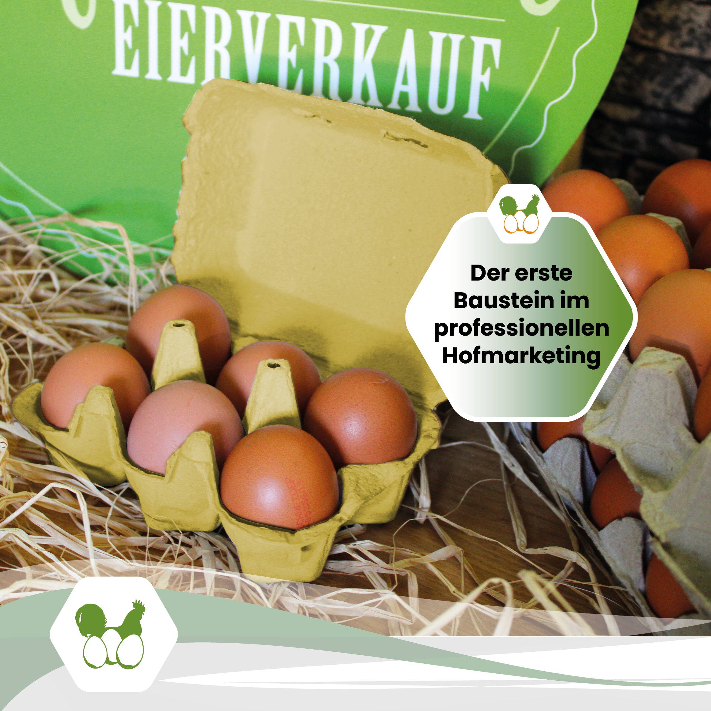 6er PlusPack mit eigenem Etikett, gelb "Der erste Baustein im professionellen Hofmarketing"