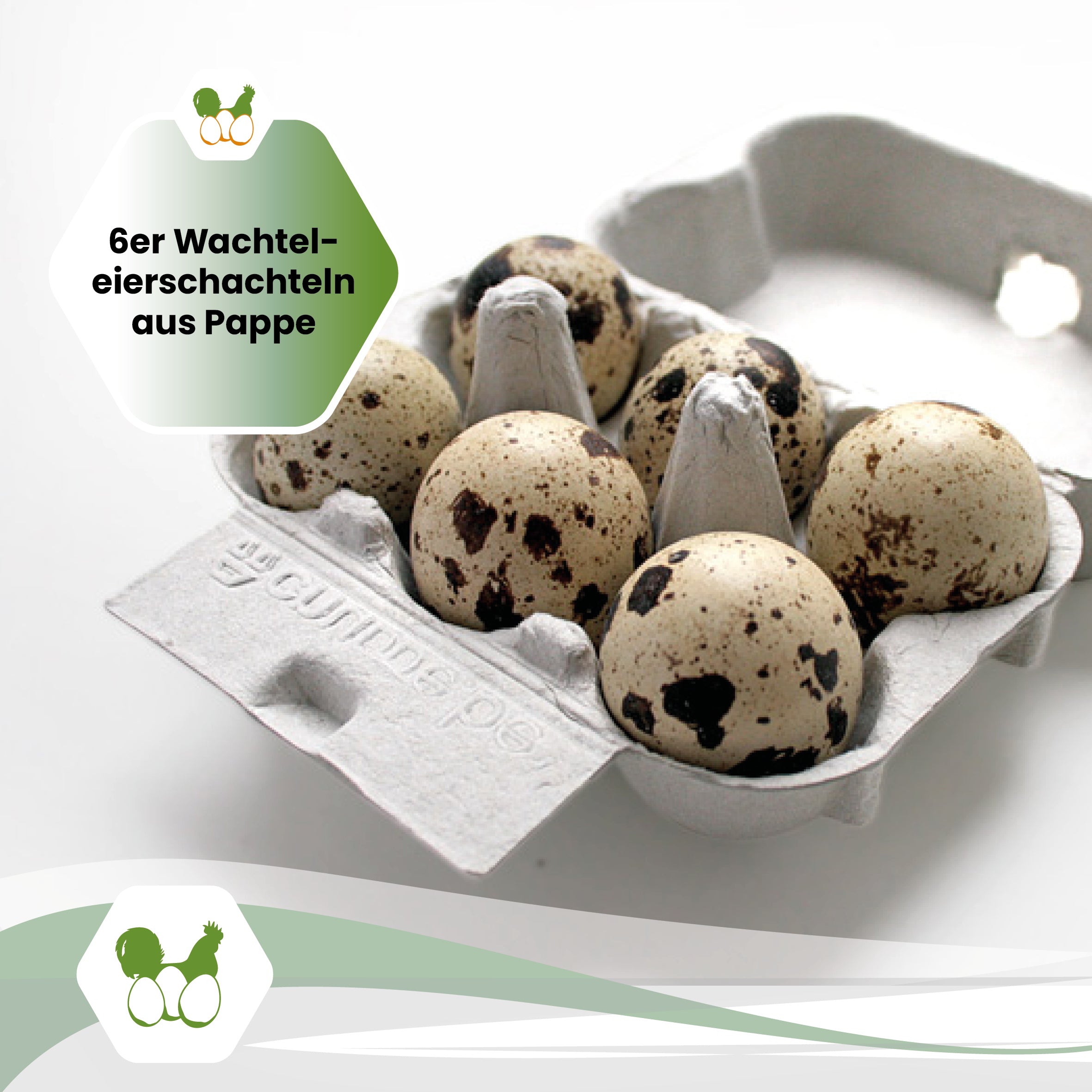 "6er Wachteleierschachteln aus Pappe"