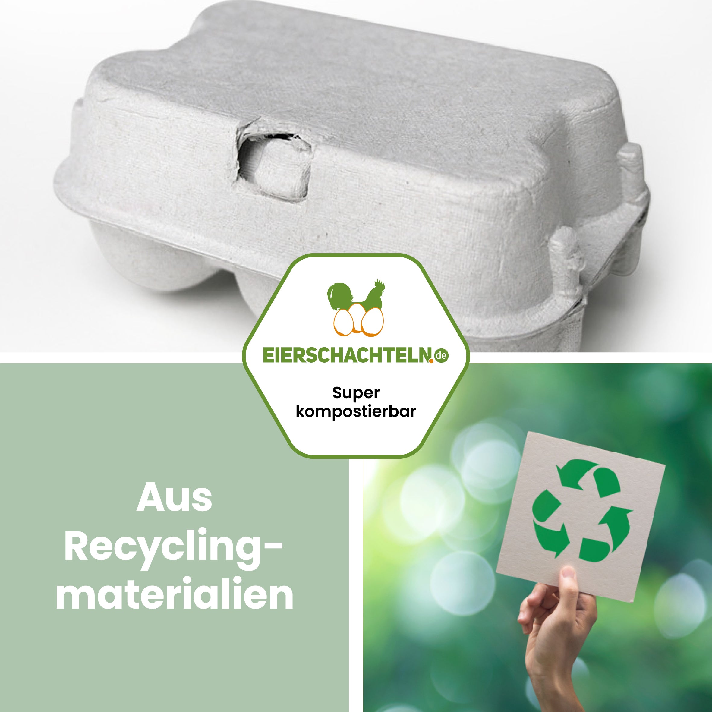 6er Wachteleierschachteln aus Pappe "Aus Recyclingmaterialien"