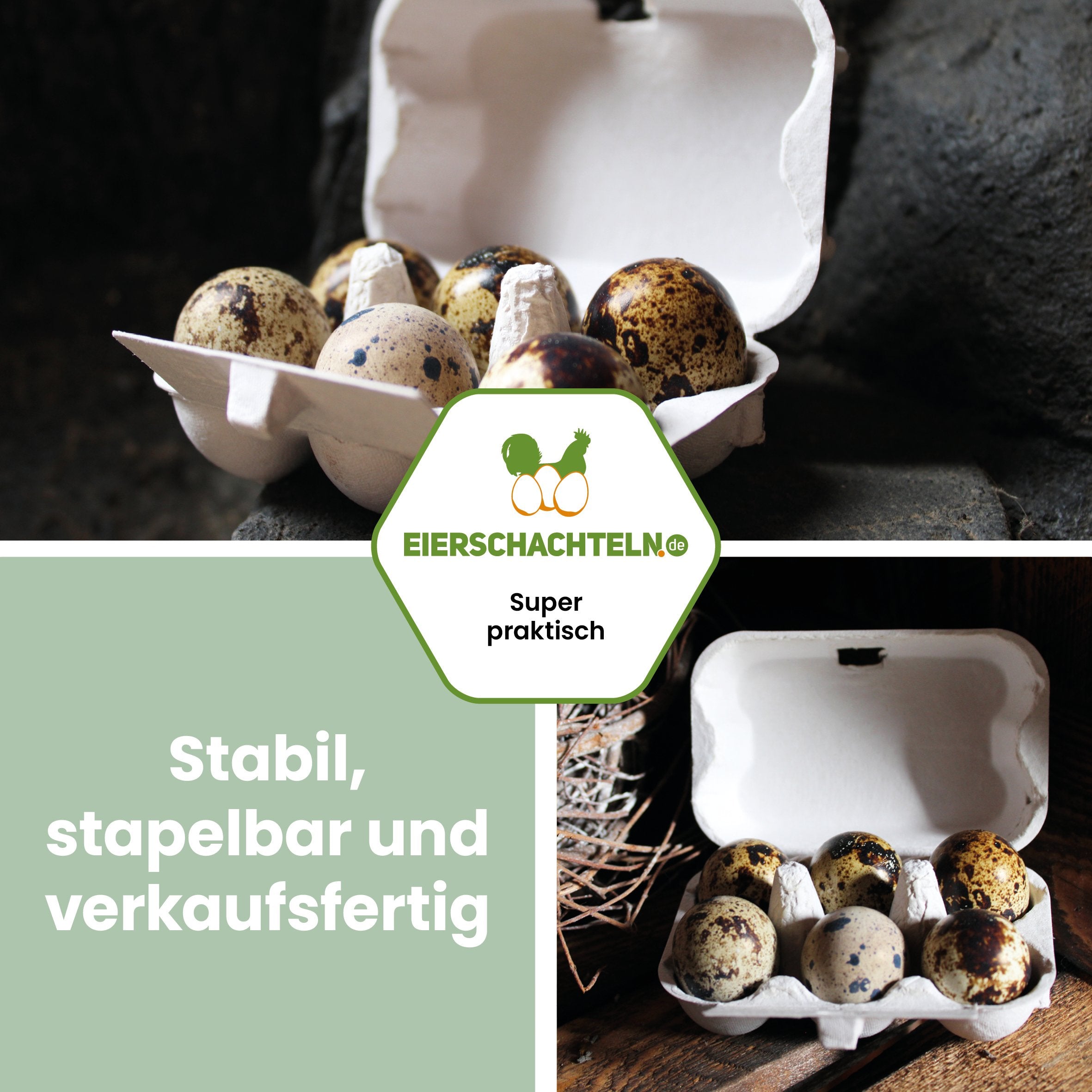 6er Wachteleierschachteln aus Pappe "Stabil, stapelbar und verkaufsfertig" 