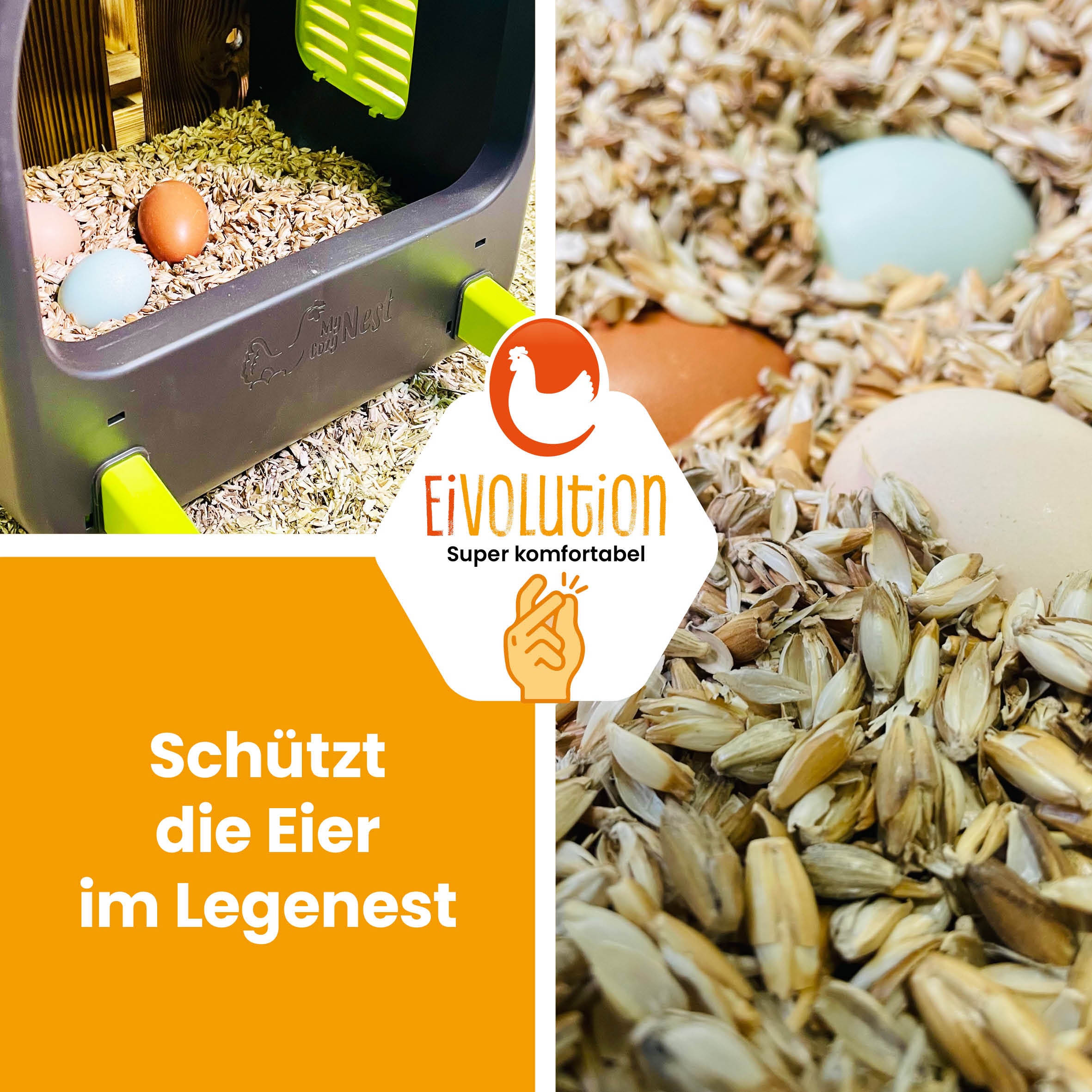 Eivolution Dinkelspelzen - Nesteinstreu mit Kieselgur - in zwei Gebinden