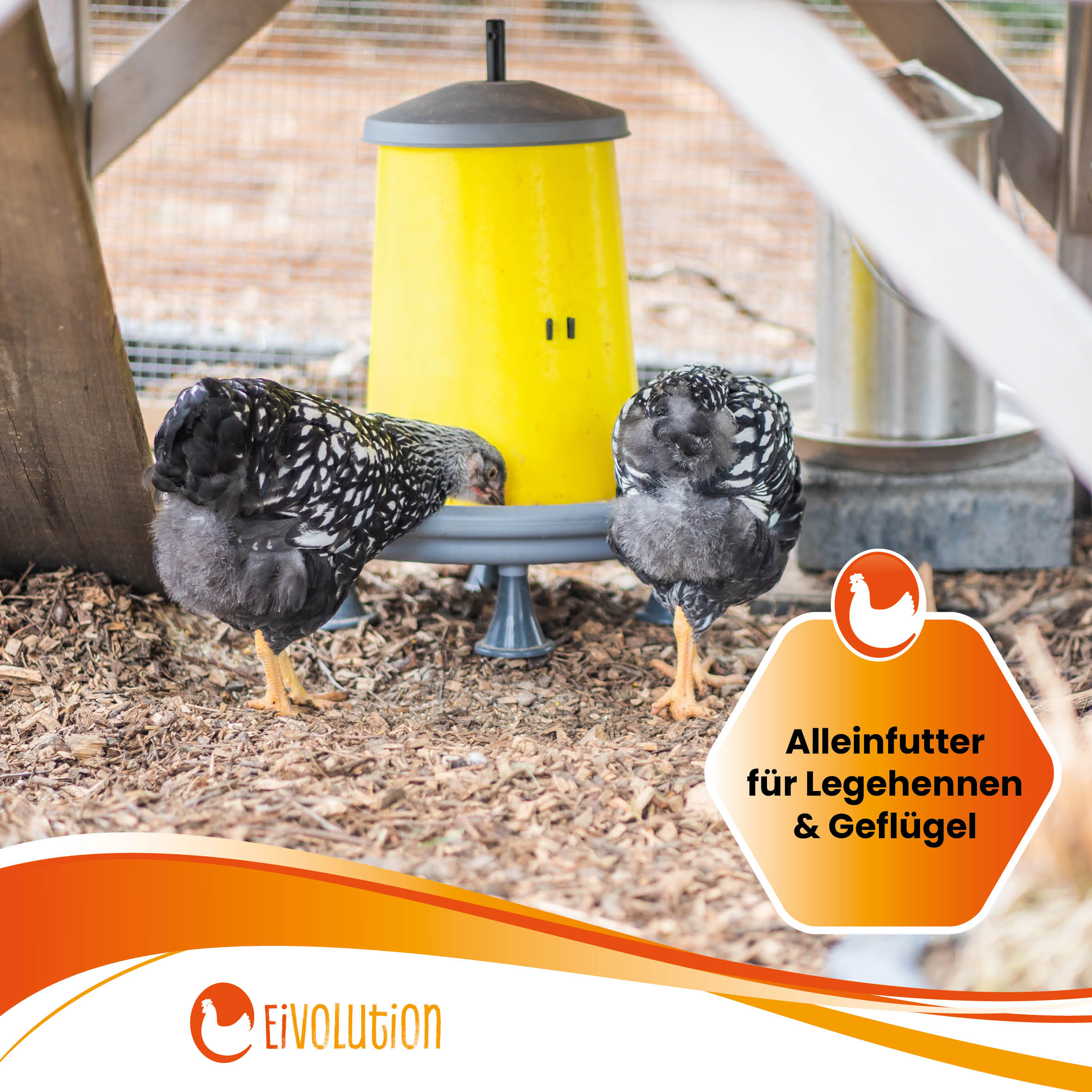 Bio Hühnerfutter Pellets mit Oregano-Kräutermix - Naturland zertifiziert "Alleinfutter für Legehennen &amp; Geflügel" 