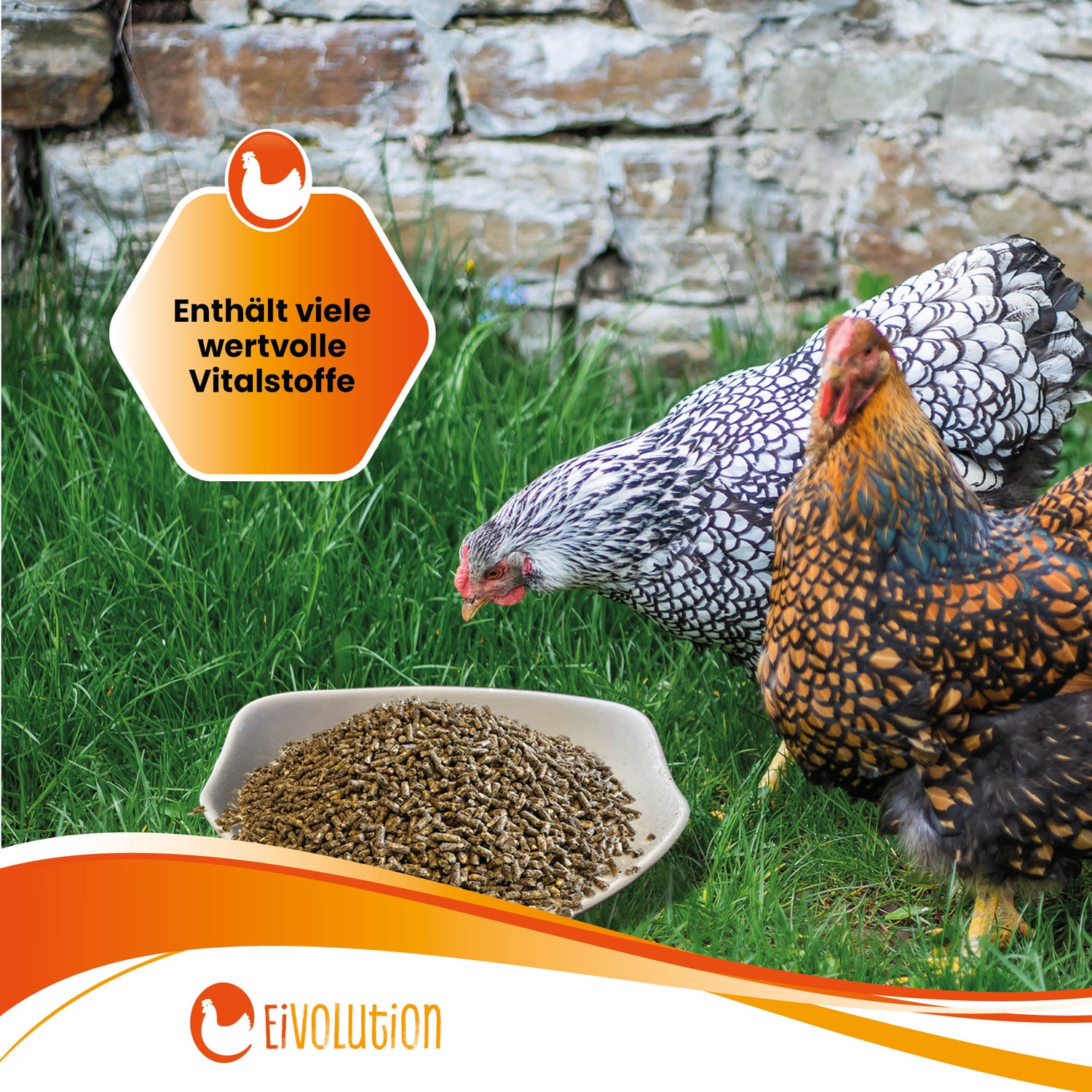 Bio Hühnerfutter Pellets mit Oregano-Kräutermix - Naturland zertifiziert "Enthält viele wertvolle Vitalstoffe" 