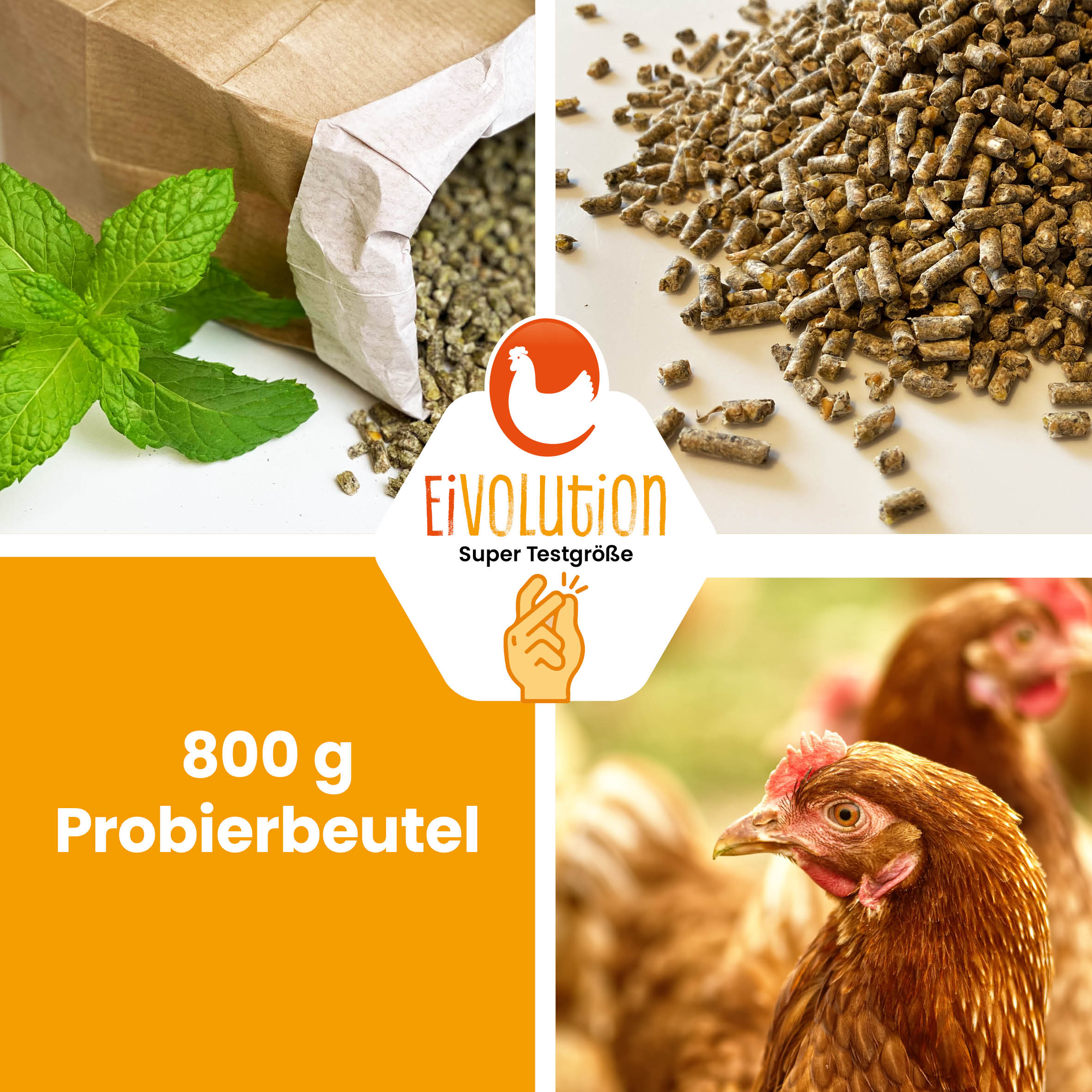Bio-Hühnerfutter Pellets mit Oregano-Kräutermix 800 g Probierbeutel 