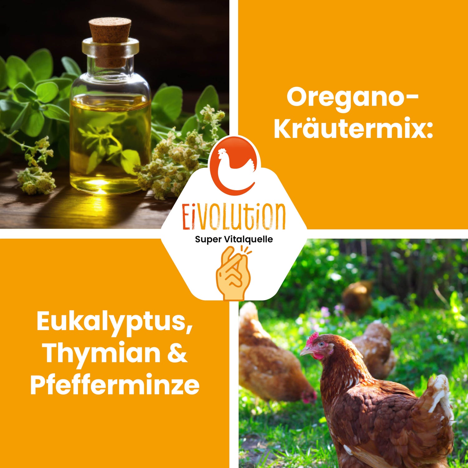Bio-Hühnerfutter Pellets "Oregano-Kräutermix: Eukalyptus, Thymian &amp; Pfefferminze" 