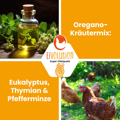 Bio Hühnerfutter Pellets mit Oregano-Kräutermix - Naturland zertifiziert "Eukalyptus, Thymian &amp; Pfefferminze"
