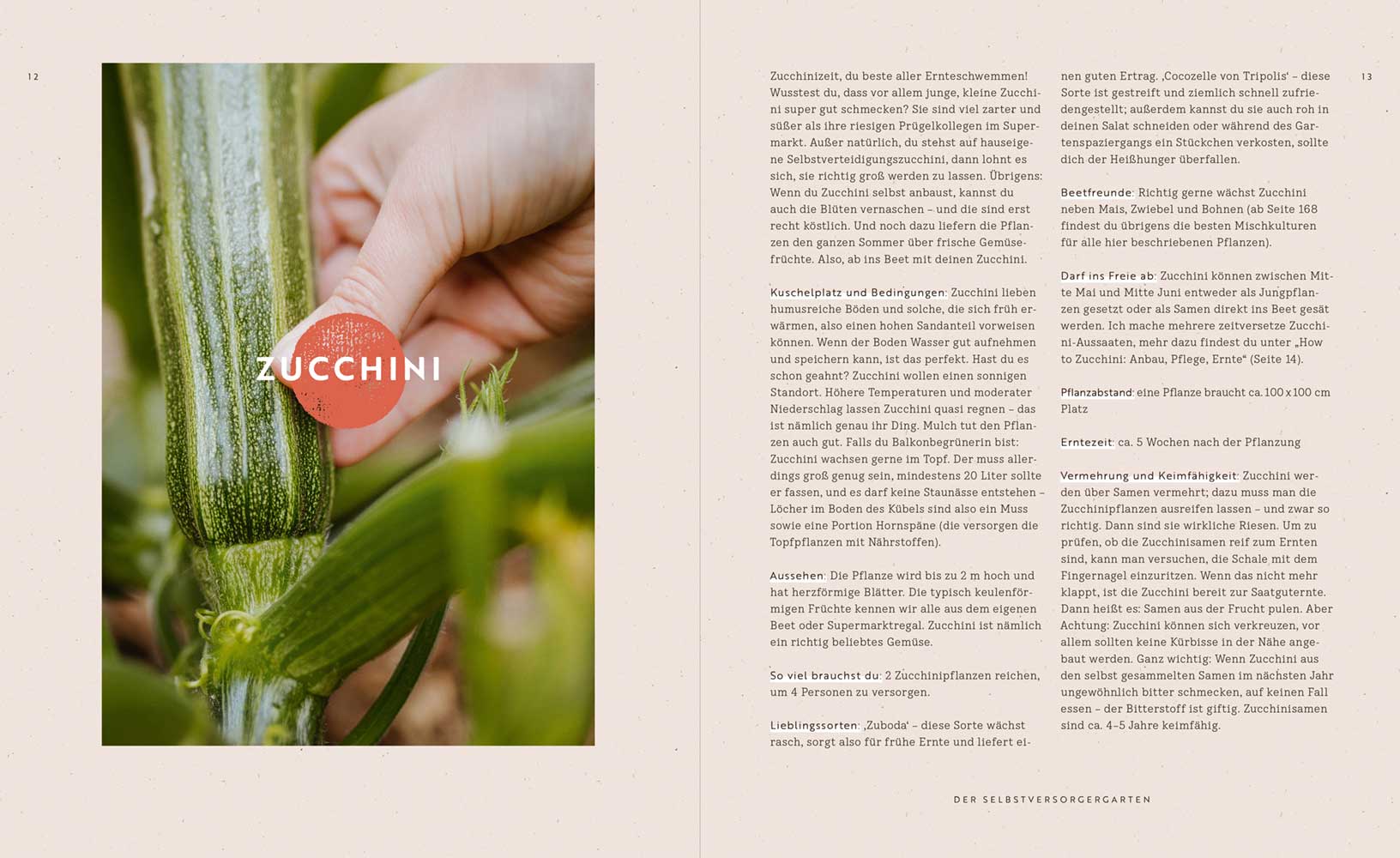 Buch „Selbstversorgung“, Zuchini