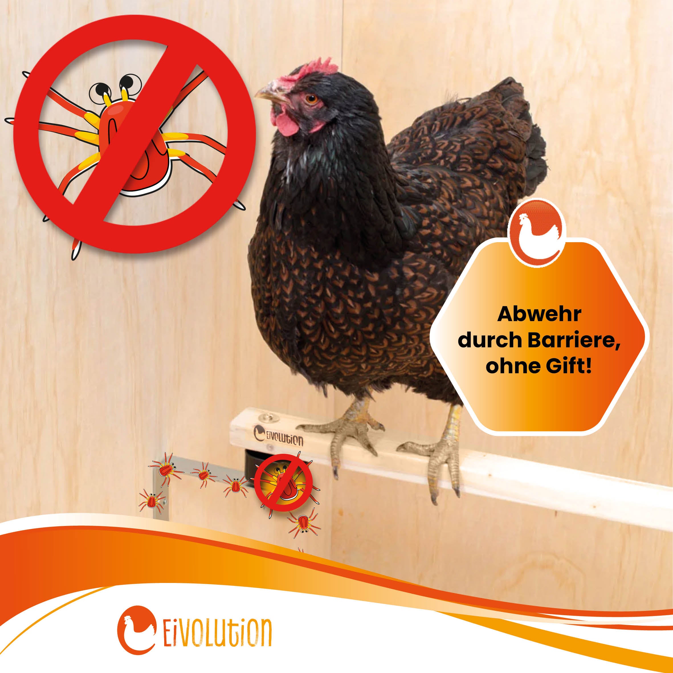 Sitzstange mit Anti-Milben-Halterung im Set "Abwehr durch Barriere, ohne Gift!"