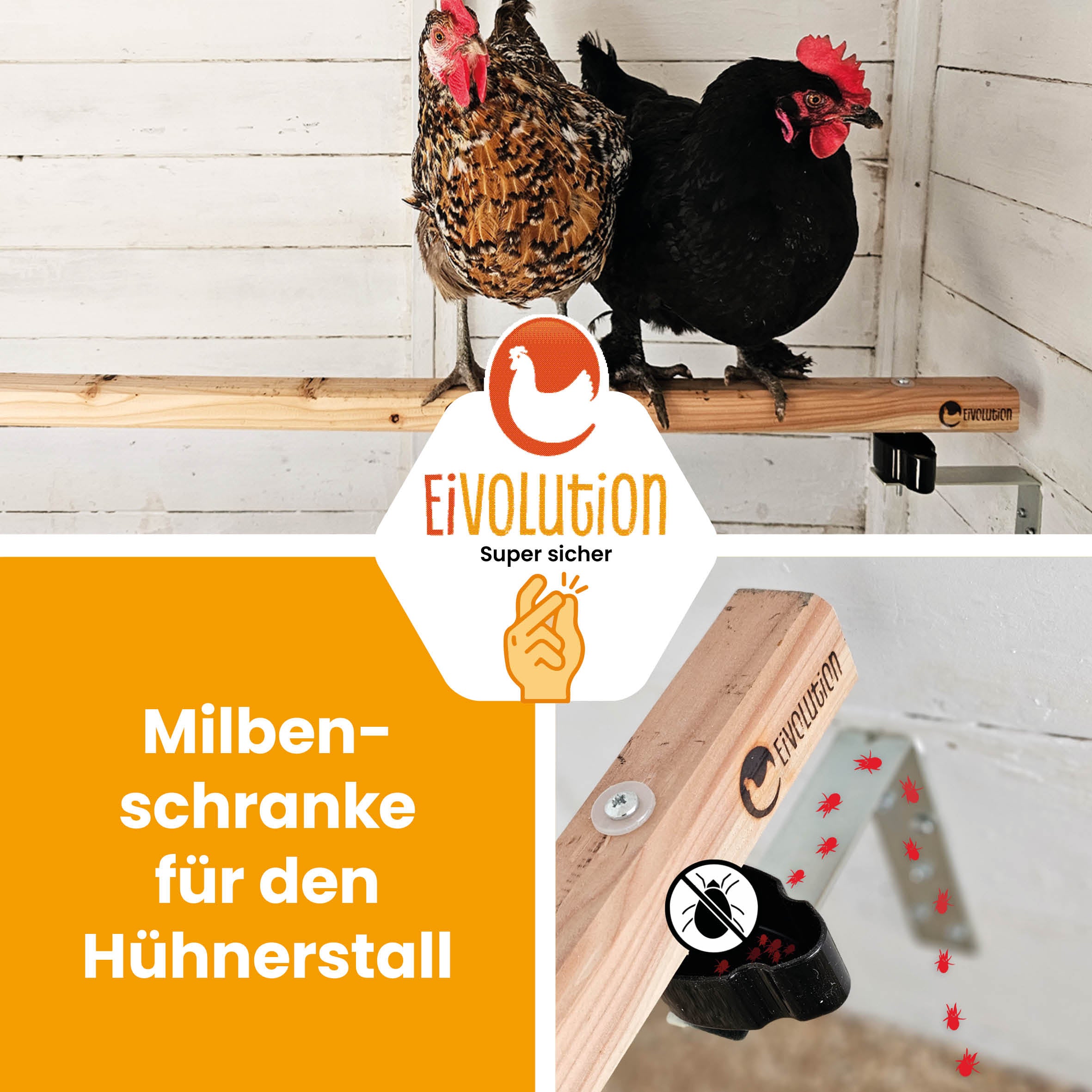 Sitzstange mit Anti-Milben-Halterung im Set "Milbenschranke für den Hühnerstall" 