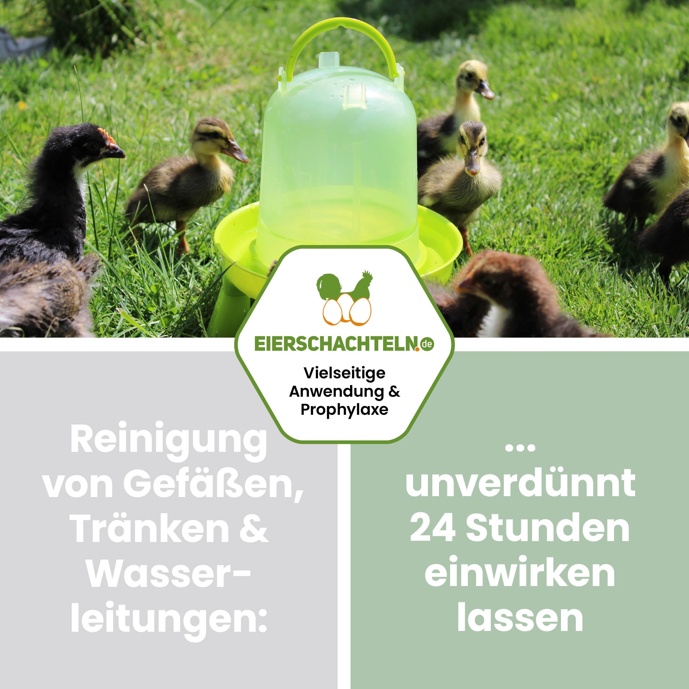 AQUA ELECTRA Nutztiere – Stallhygiene &amp; Wundpflege bei Tieren (alkoholfrei)