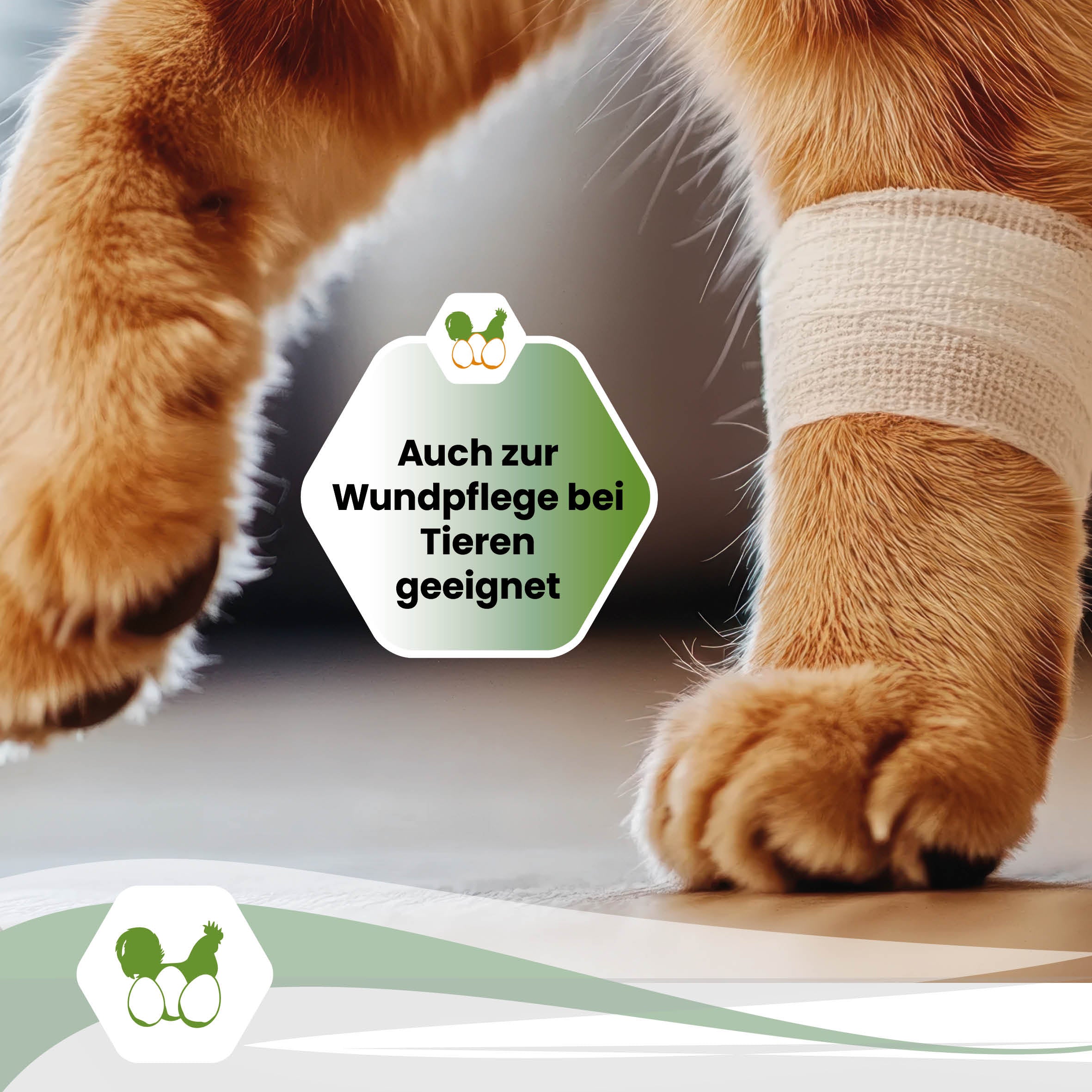 AQUA ELECTRA Nutztiere – Stallhygiene &amp; Wundpflege bei Tieren (alkoholfrei)