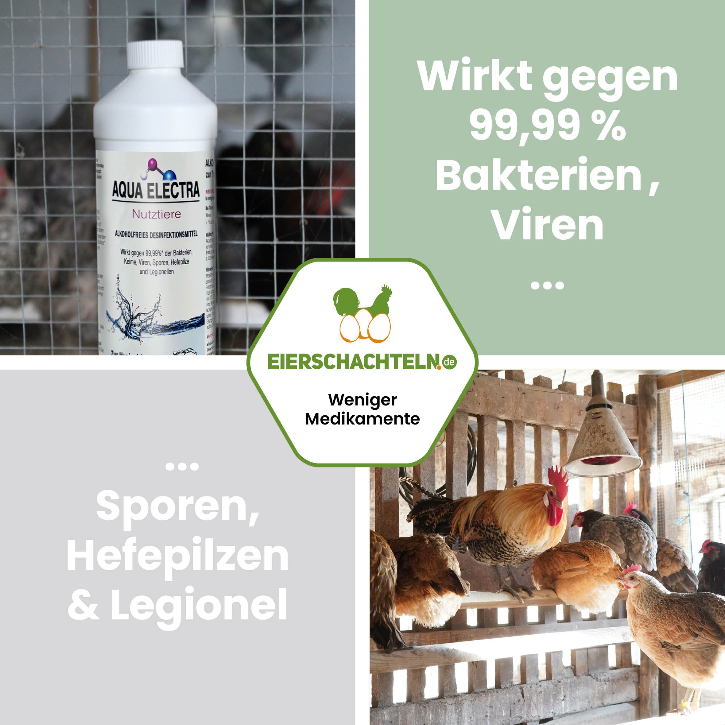 AQUA ELECTRA Nutztiere – Stallhygiene &amp; Wundpflege bei Tieren (alkoholfrei)