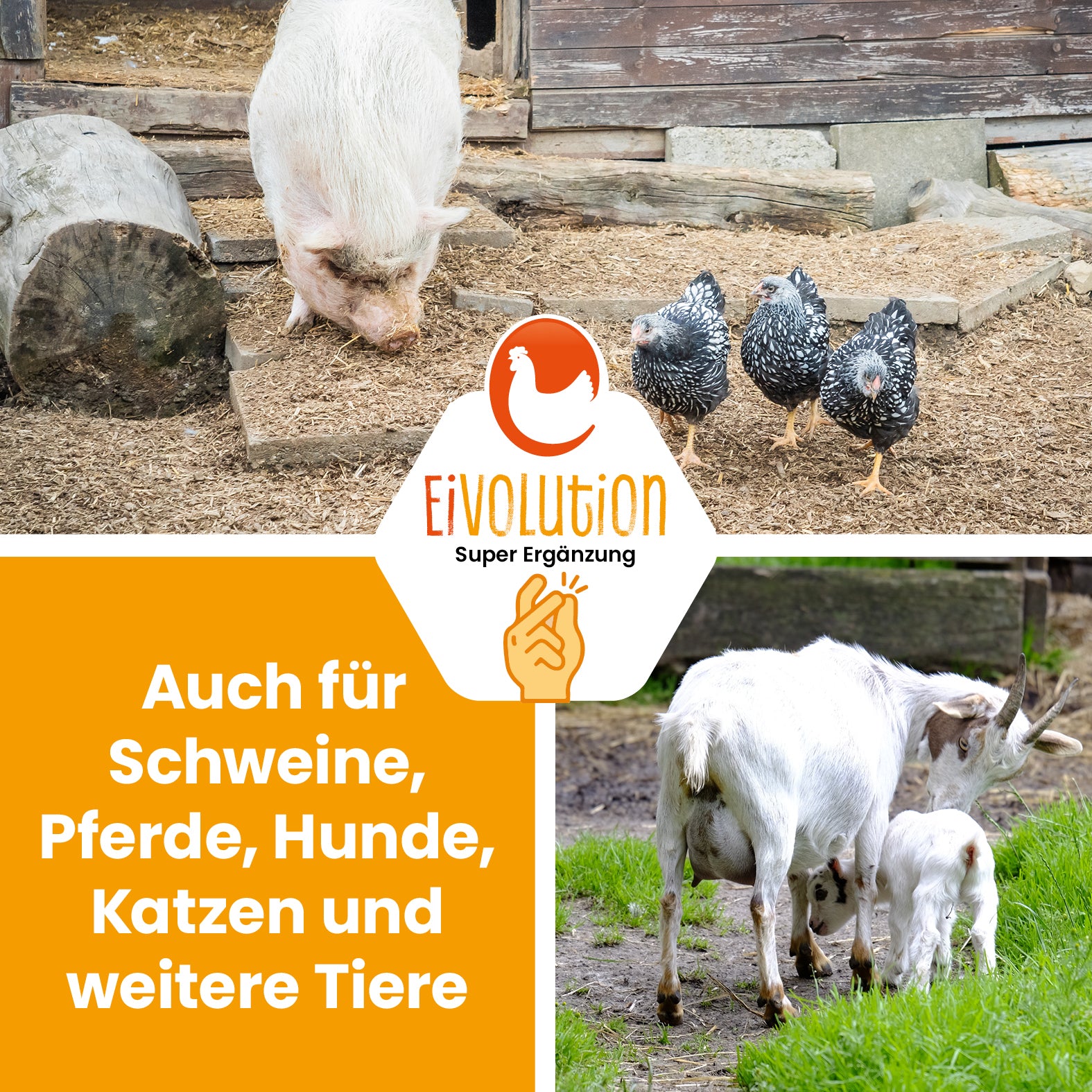 Bierhefe Plus mit Präbiotika 25 kg – zur Verdauungsunterstützung