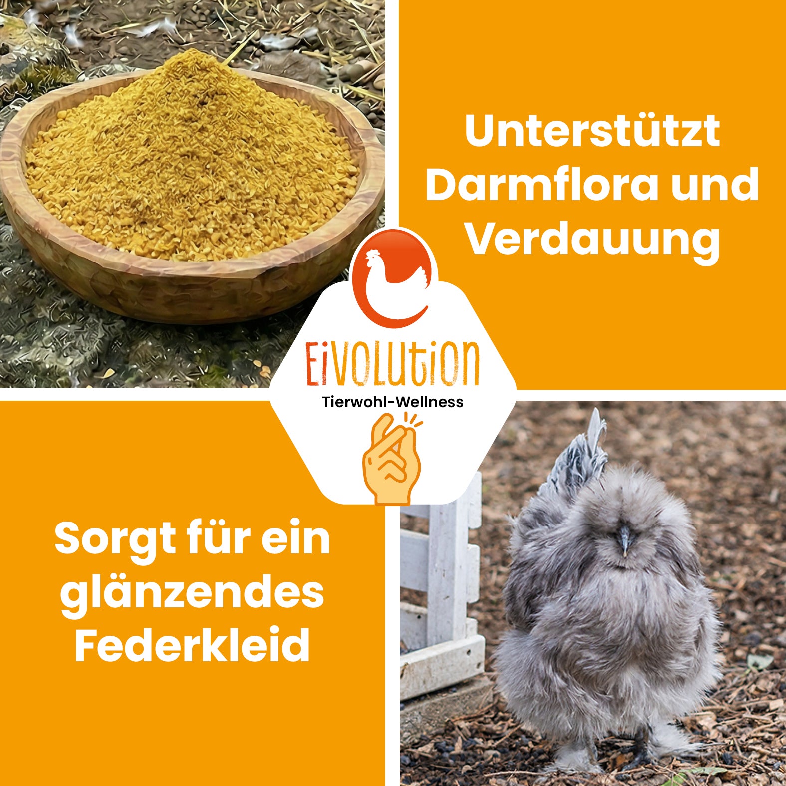 Bierhefe Plus mit Präbiotika 25 kg – zur Verdauungsunterstützung