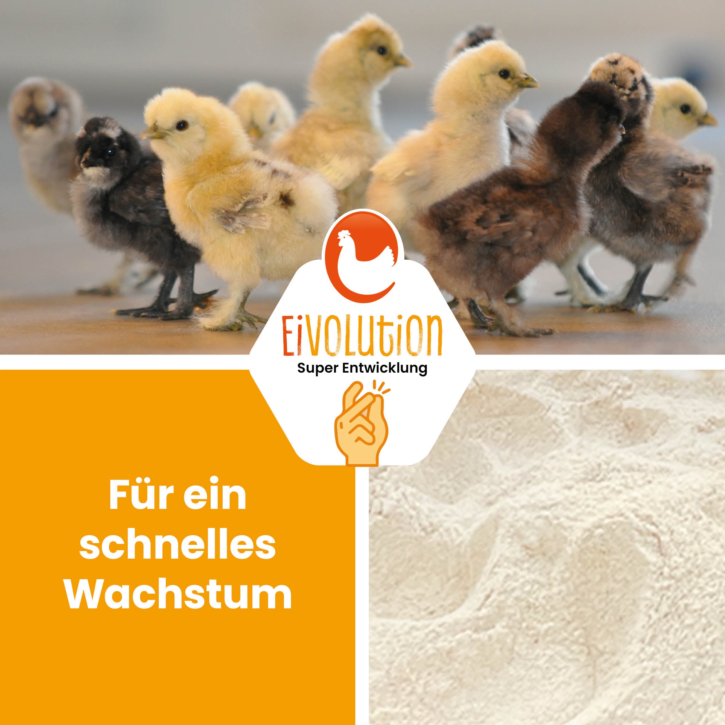 Natürliche Bierhefe "Für ein schnelles Wachstum"