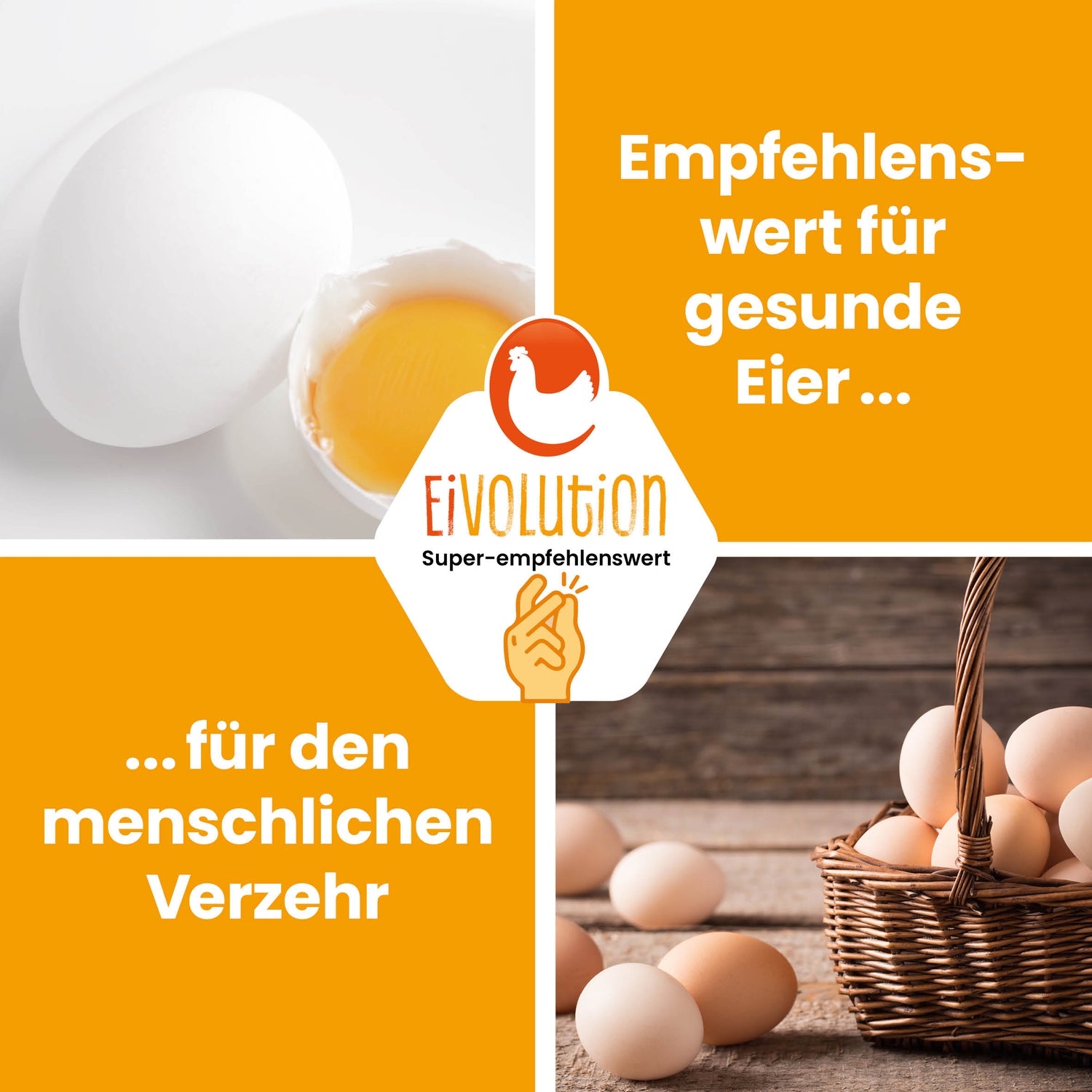 Natürliche Bierhefe "Empfehlenswert für gesunde Eier für den menschlichen Verzehr" 