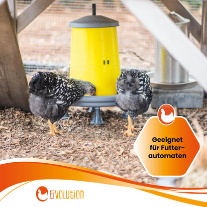 Bio-Futterweizen "Geeignet für Futterautomaten"