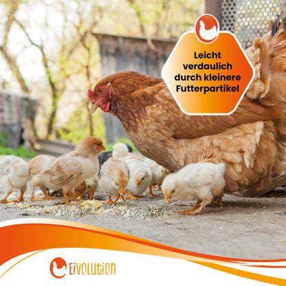 Mehl Bio-Hühnerfutter "Leicht verdaulich durch kleinere Futterpartikel"