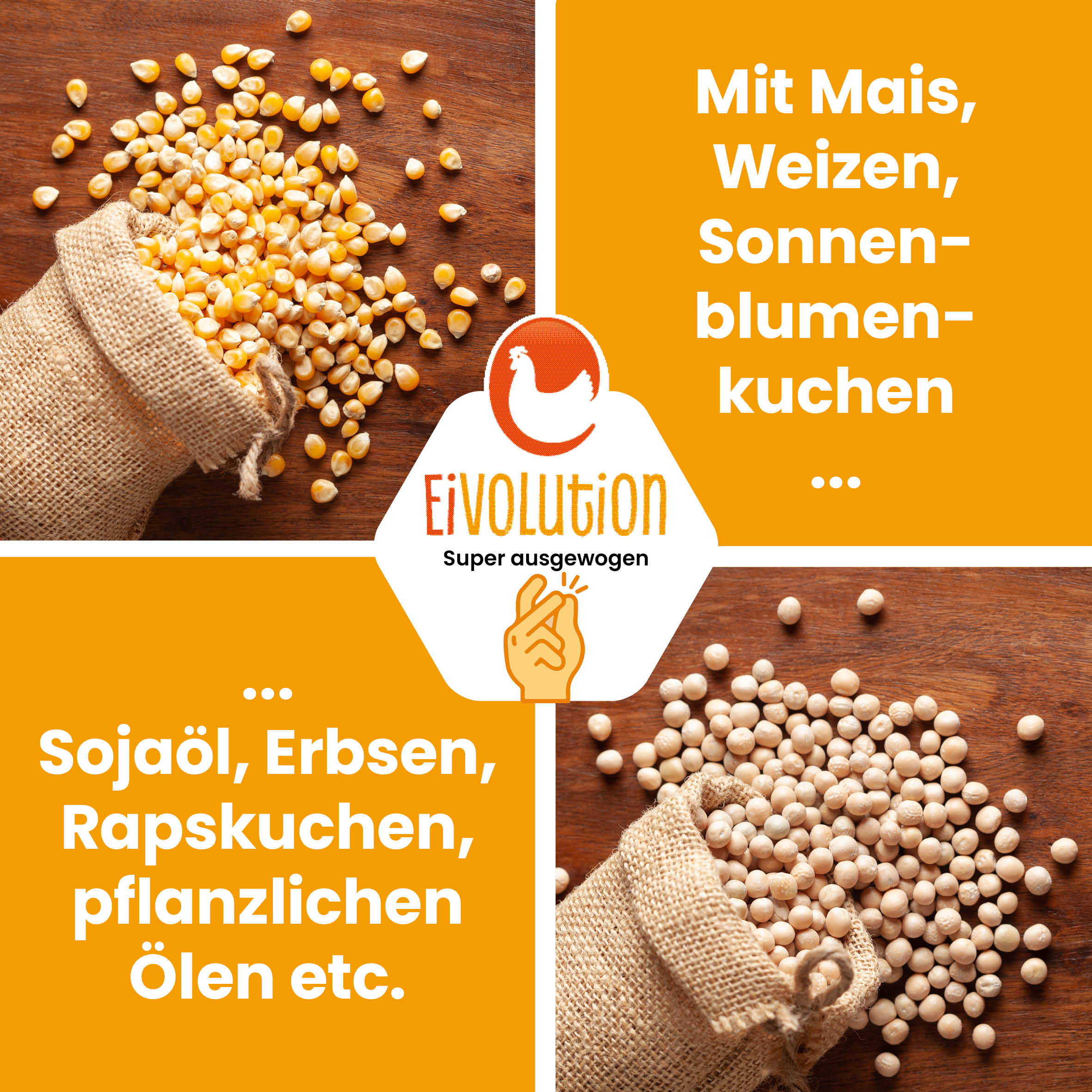 Mehl Bio-Hühnerfutter "Mit Mais, Weizen, Sonnenblumenkuchen, Sojaöl, Erbsen, Rapskuchen, pflanzlichen Ölen etc."