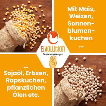 Bio Hühnerfutter Mehl "Mit Mais, Weizen, Sonnenblumenkuchen, Sojaöl, Erbsen, Rapskuchen, pflanzlichen Ölen etc."