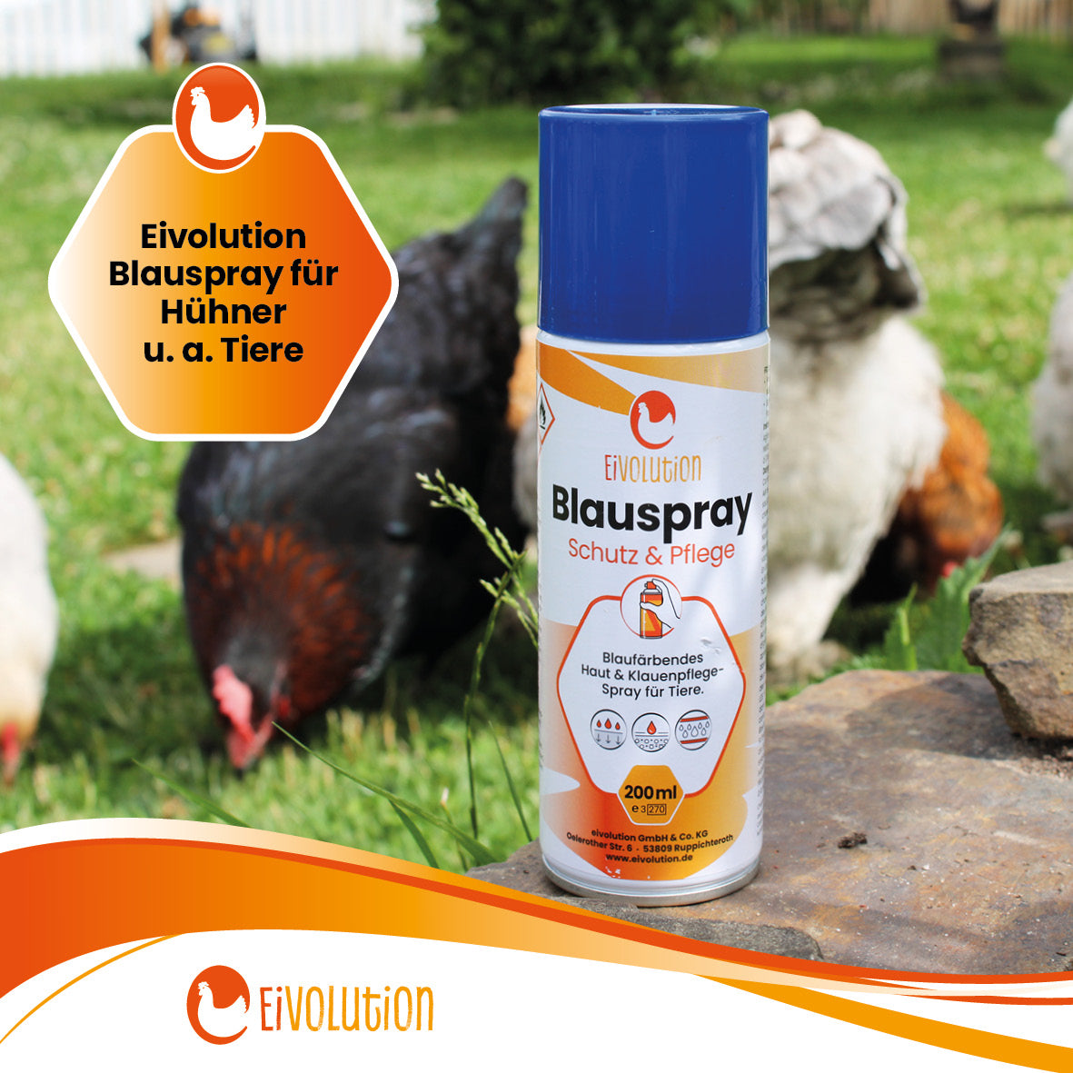 Blauspray "eivolution Blauspray für Hühner u. a. Tiere" 