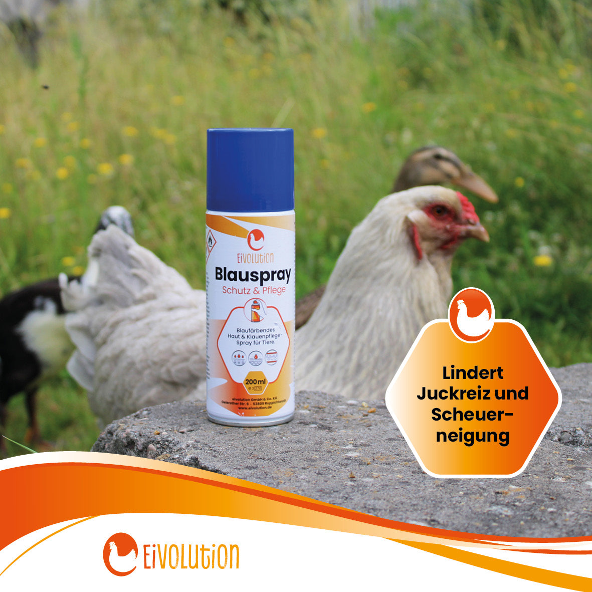 Blauspray für Hühner u. a. Tiere "Lindert Juckreiz und Scheuerneigung" 