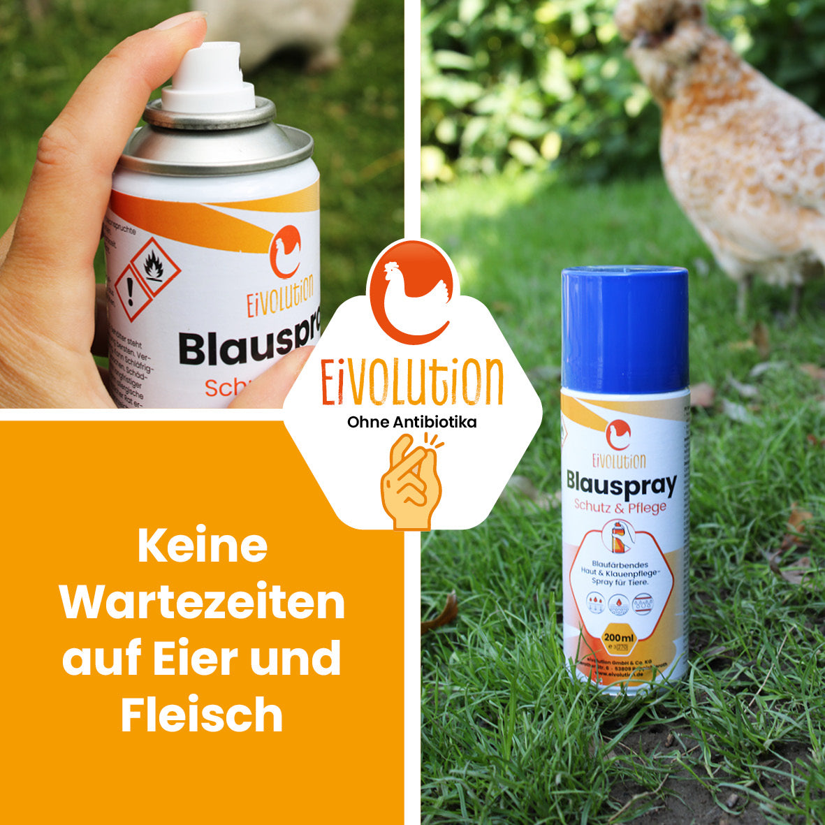 Blauspray für Hühner u. a. Tiere "Keine Wartezeiten auf Eier und Fleisch" 