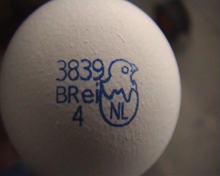 Eierstempel für 30 Eier, Stempelergebnis blau