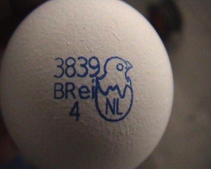 Eierstempel zur Eierkennzeichnung für ein Ei (Einzelstempel Egg-Flex), blauer Stempel auf dem Ei