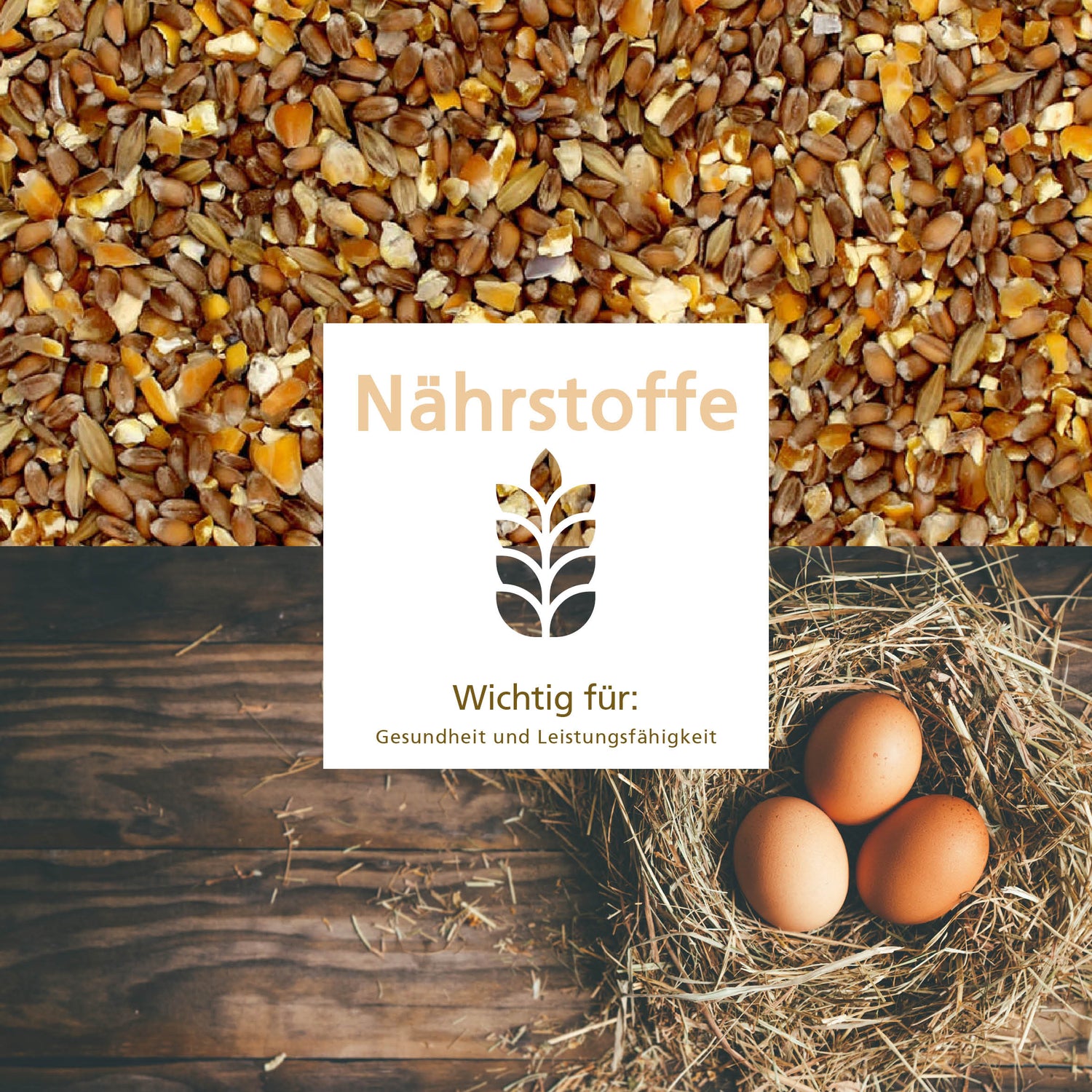 Geflügelkörnerfutter von Carl Wolf "Nährstoffe" "Wichtig für: Gesundheit und Leistungsfähigkeit"