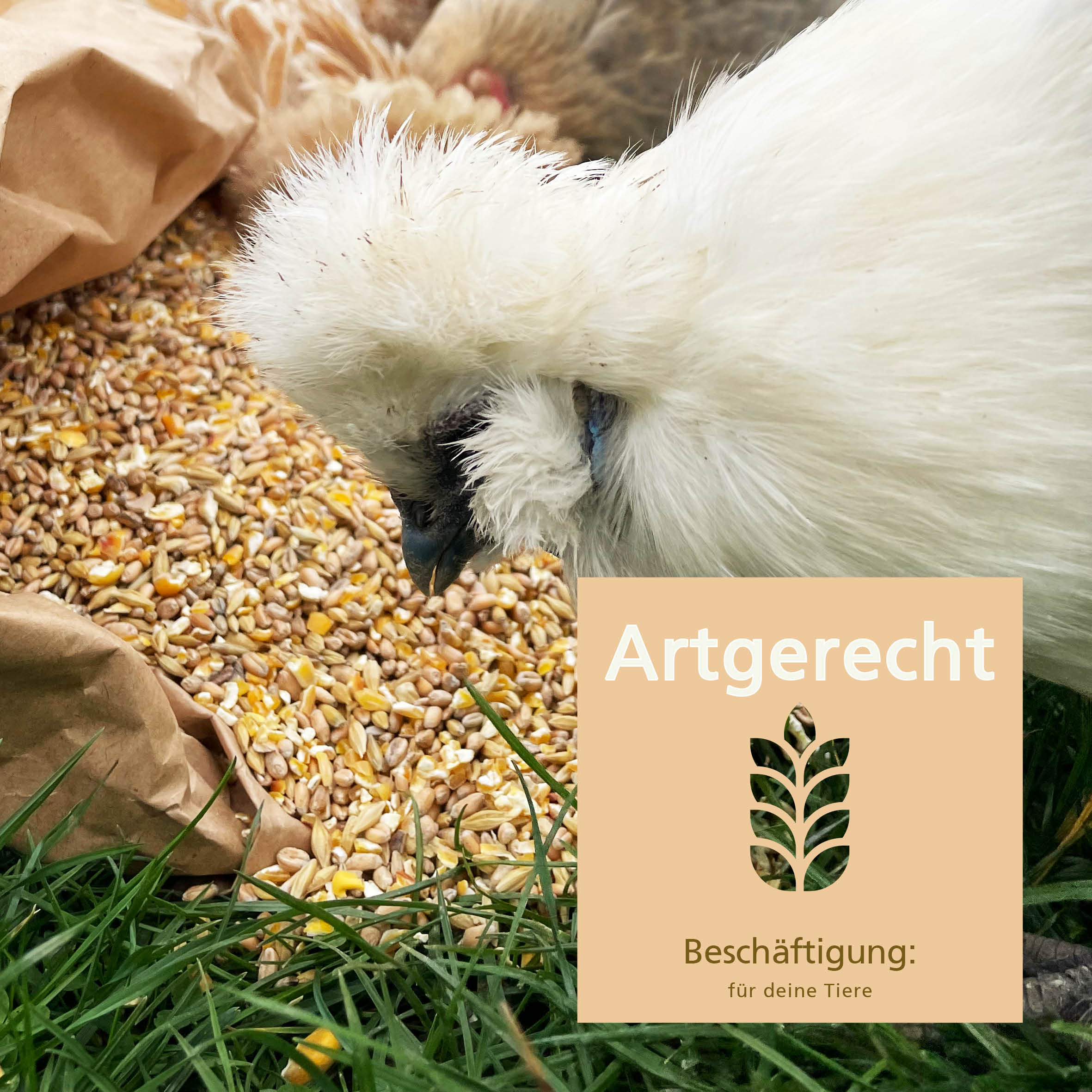 Geflügelkörnerfutter von Carl Wolf "Artgerecht Beschäftigung: für deine Tiere"