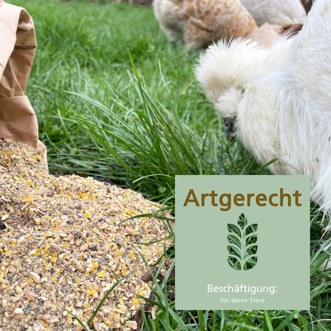 Carl Wolf Lege Komplett - Artgerecht, Beschäftigung für deine Tiere 