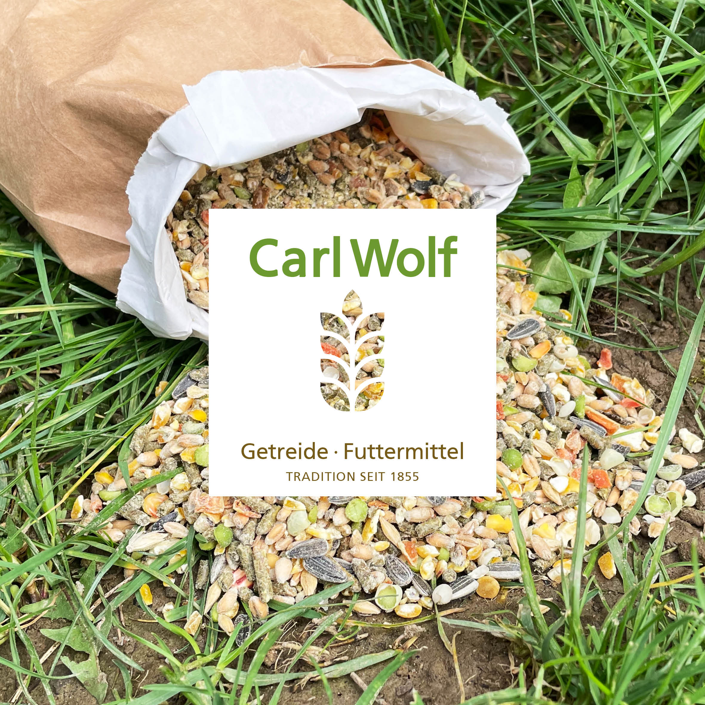 Carl Wolf Legestruktur – Strukturreiches Alleinfutter für Legehennen – 36 × 20 kg Palette