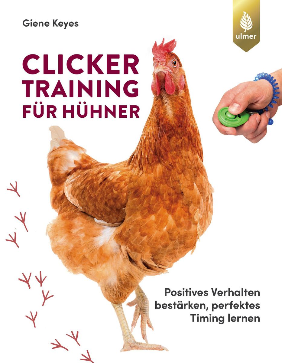 Buch „Clickertraining für Hühner“ – Kunststücke lernen, Beziehung aufbauen