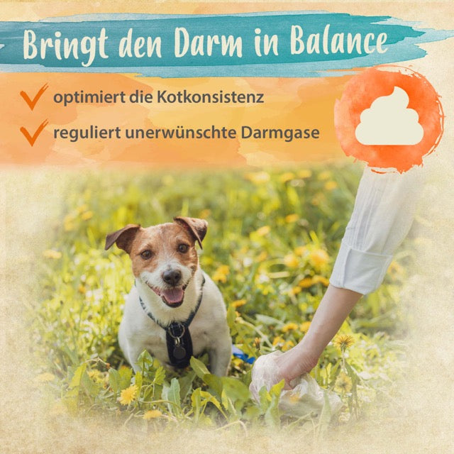 Darmbiotic "Bringt den Darm in Balance"