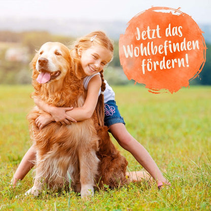 Darmbiotic "Jetzt das Wohlbefinden fördern!"