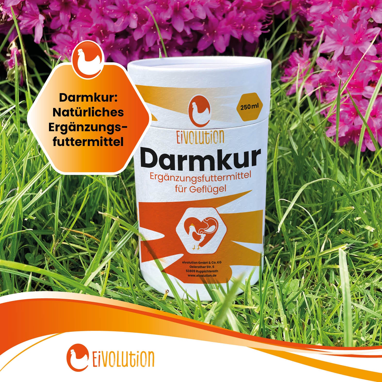 Eivolution Darmkur "Darmkur: natürliches Ergänzungsfuttermittel" 